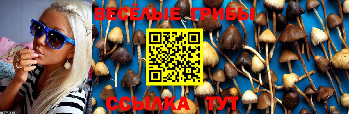 купить  сайты  Вход с VPN  Ефремов  Галлюциногенные грибы Magic Shrooms 