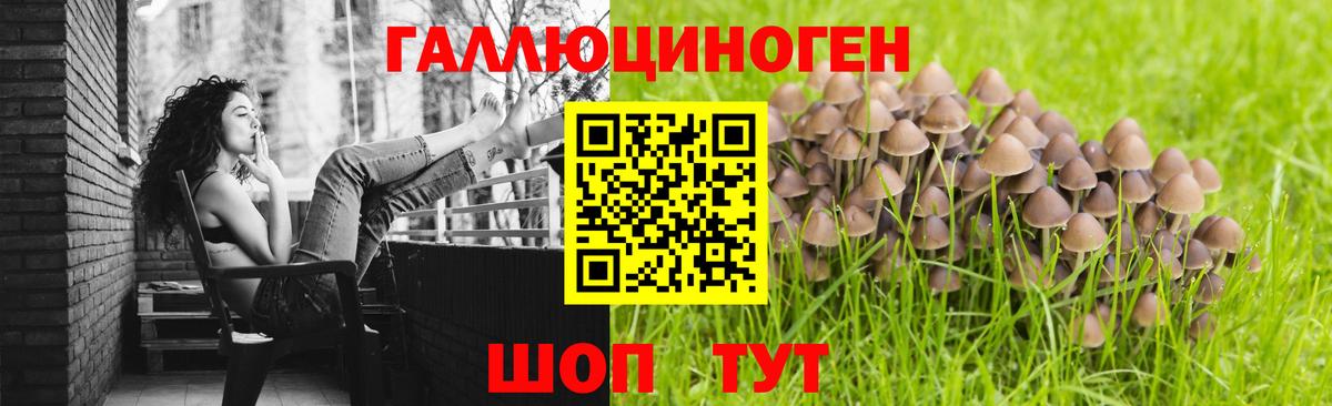 Галлюциногенные грибы ЛСД Ефремов